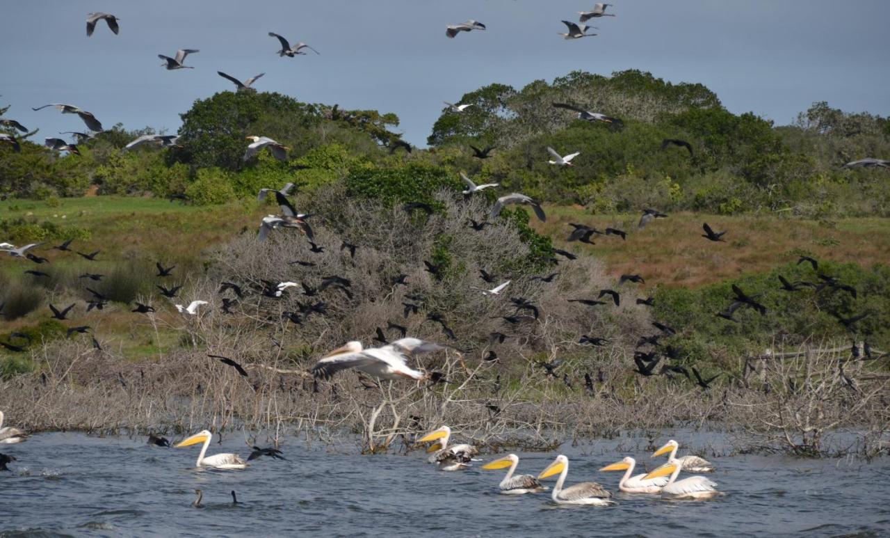 De Hoop Collection - Equipped Cottages De Hoop Nature Reserve Exterior foto